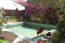 The swimming pool