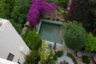 the garden and pool from the terrace