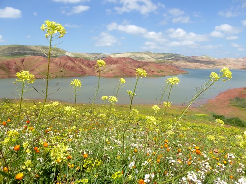 excursiones alrededor de Fez