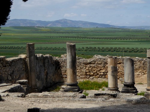 Excursion at Volubilis